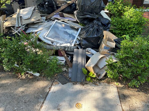 Junk Removal